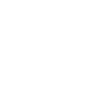 BlueSky icon